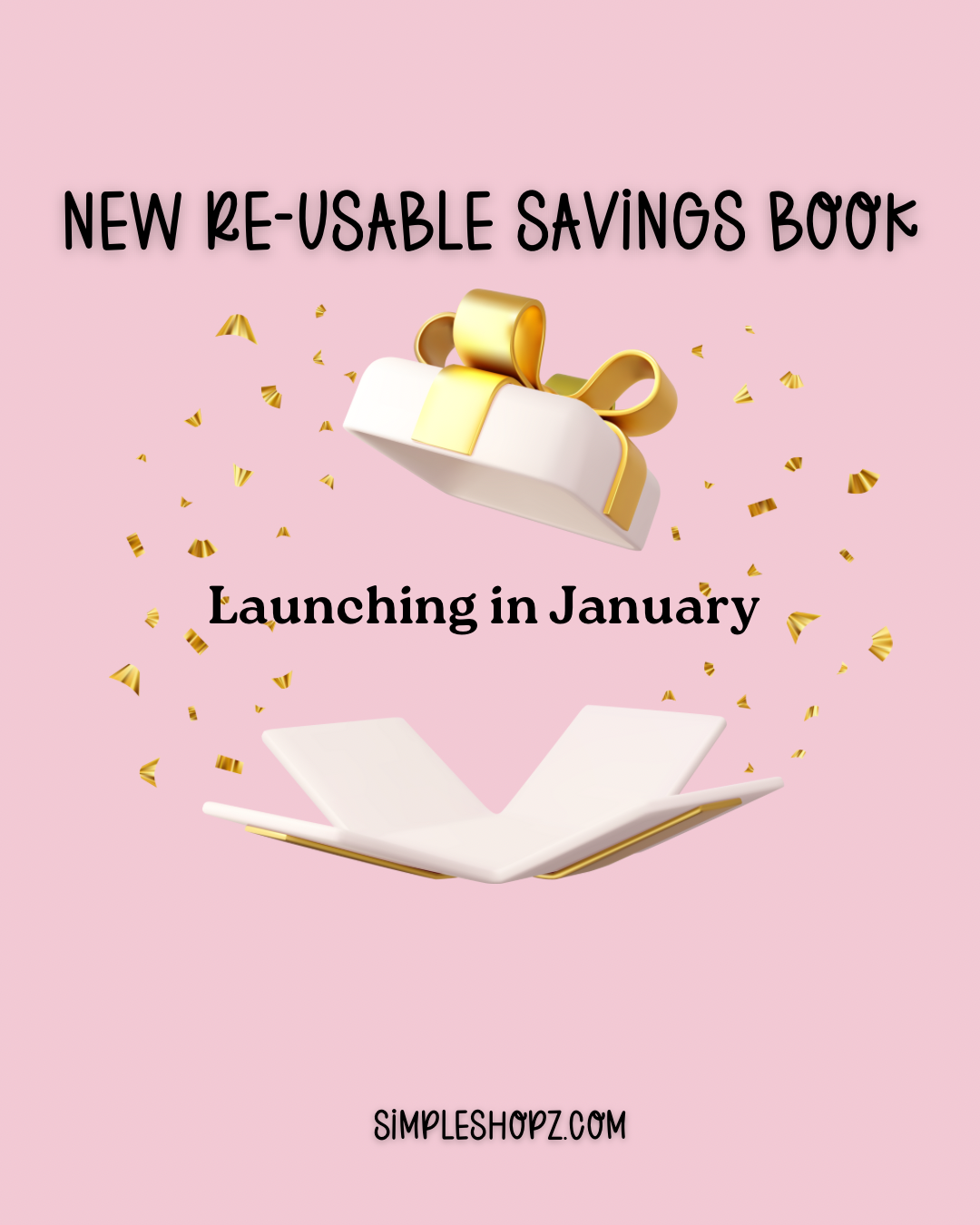 New! Re-Usable Savings Book