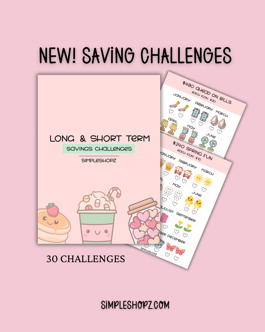 New! Re-Usable Savings Book