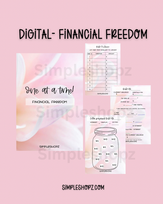 Digital- NEW! One Debt at a Time!
